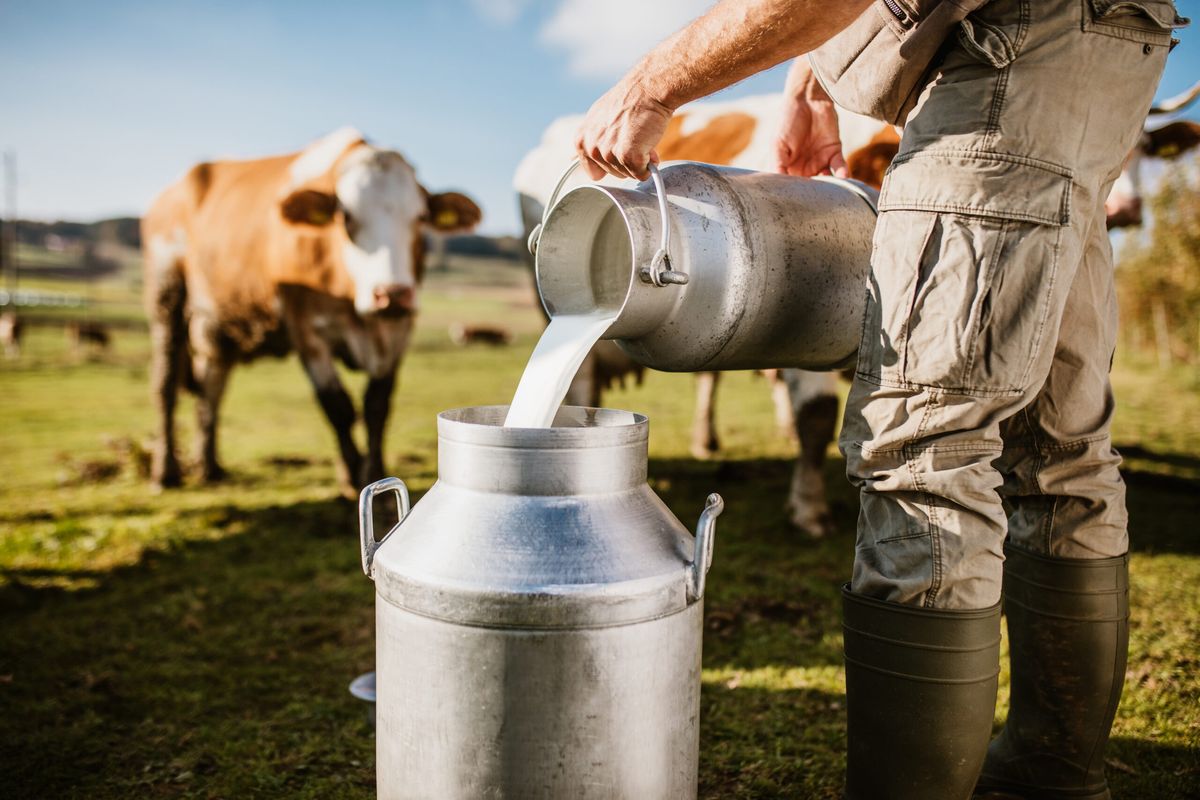 Fresh raw milk in glass bottle